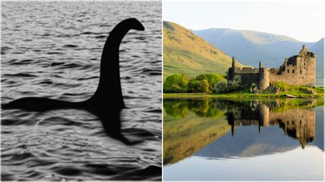 site comme mostorv|The Loch Ness Monster Has Company in the Neighborhood: Wild .